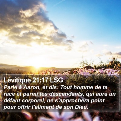 Lévitique 21:17 LSG Bible Verse Image