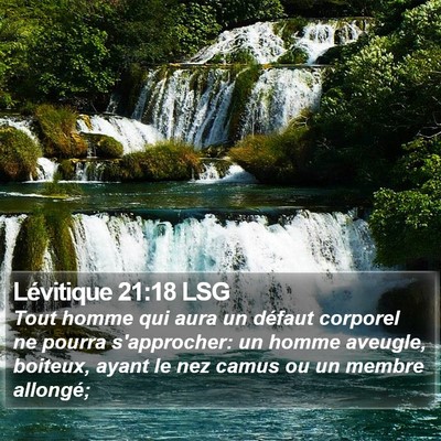 Lévitique 21:18 LSG Bible Verse Image