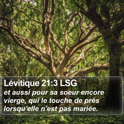 Lévitique 21:3 LSG Bible Verse Image