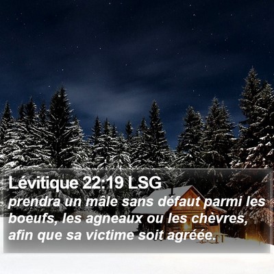 Lévitique 22:19 LSG Bible Verse Image