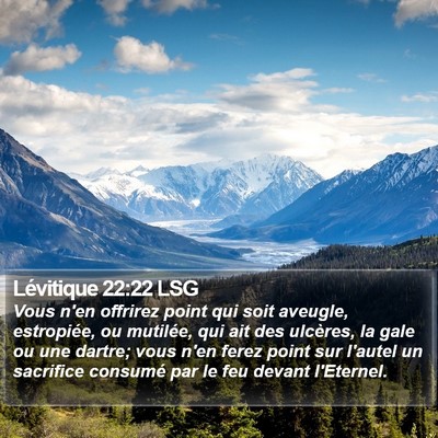 Lévitique 22:22 LSG Bible Verse Image