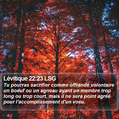 Lévitique 22:23 LSG Bible Verse Image