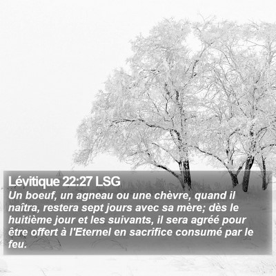 Lévitique 22:27 LSG Bible Verse Image