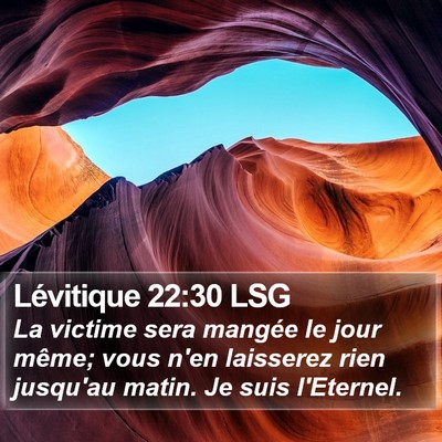 Lévitique 22:30 LSG Bible Verse Image