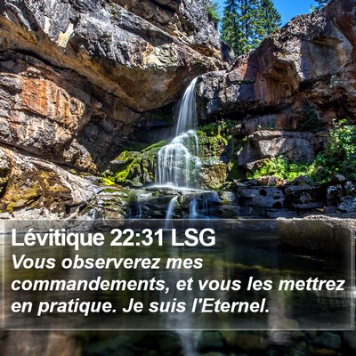 Lévitique 22:31 LSG Bible Verse Image