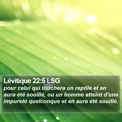 Lévitique 22:5 LSG Bible Verse Image