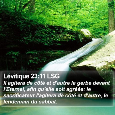 Lévitique 23:11 LSG Bible Verse Image