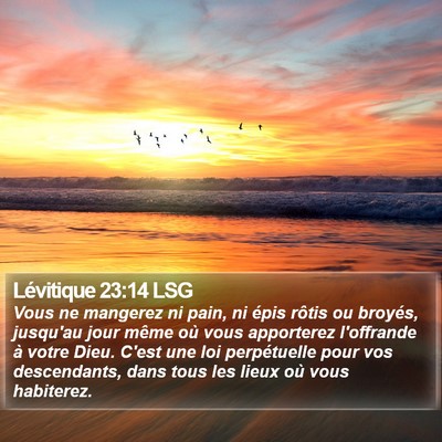 Lévitique 23:14 LSG Bible Verse Image