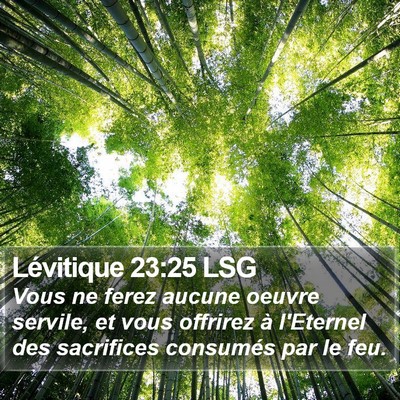 Lévitique 23:25 LSG Bible Verse Image