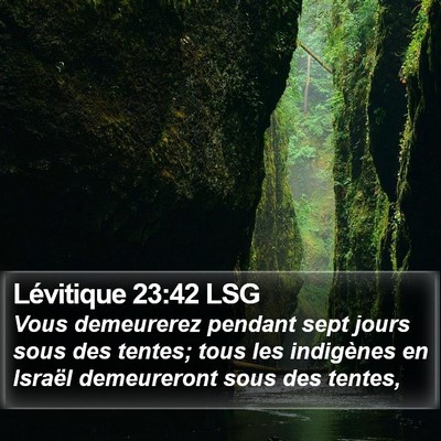 Lévitique 23:42 LSG Bible Verse Image