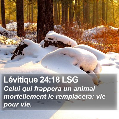 Lévitique 24:18 LSG Bible Verse Image