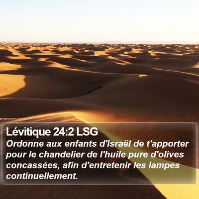 Lévitique 24:2 LSG Bible Verse Image