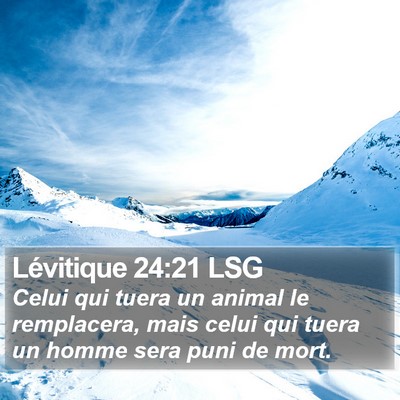 Lévitique 24:21 LSG Bible Verse Image