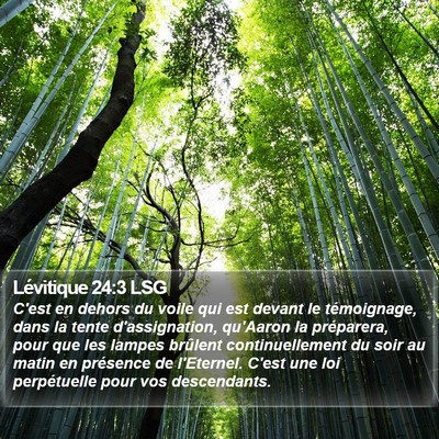 Lévitique 24:3 LSG Bible Verse Image