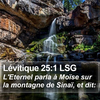 Lévitique 25:1 LSG Bible Verse Image