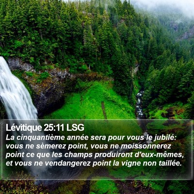 Lévitique 25:11 LSG Bible Verse Image