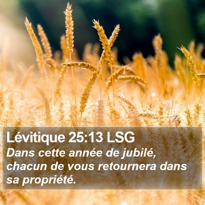 Lévitique 25:13 LSG Bible Verse Image