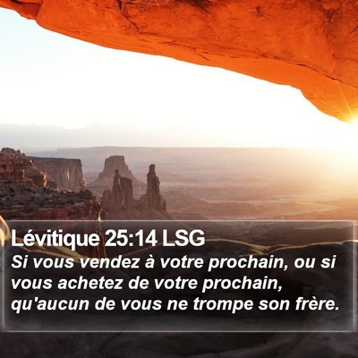 Lévitique 25:14 LSG Bible Verse Image