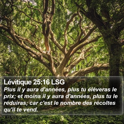 Lévitique 25:16 LSG Bible Verse Image