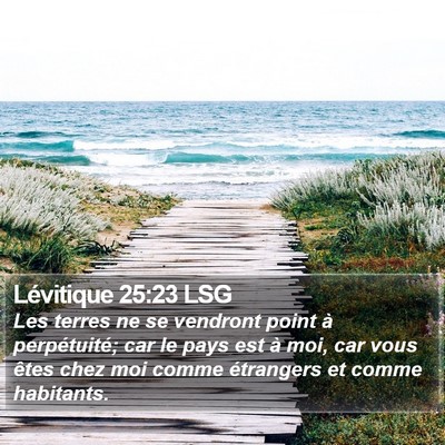 Lévitique 25:23 LSG Bible Verse Image
