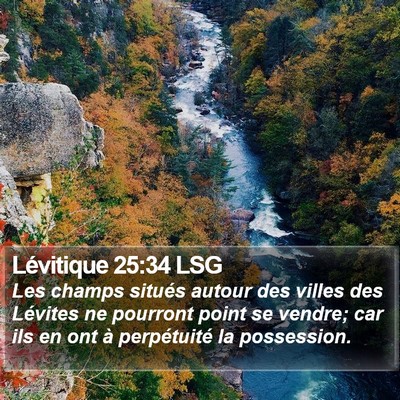 Lévitique 25:34 LSG Bible Verse Image