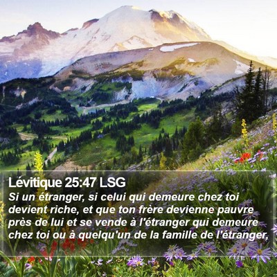 Lévitique 25:47 LSG Bible Verse Image