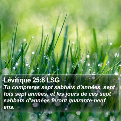 Lévitique 25:8 LSG Bible Verse Image