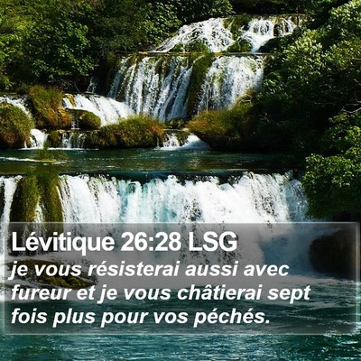 Lévitique 26:28 LSG Bible Verse Image
