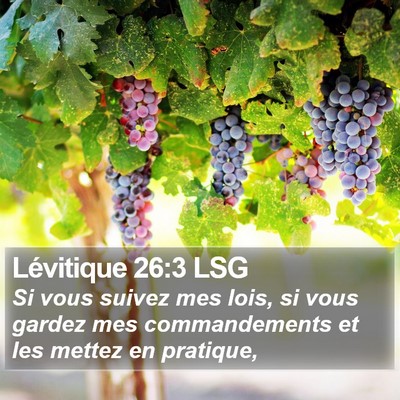 Lévitique 26:3 LSG Bible Verse Image