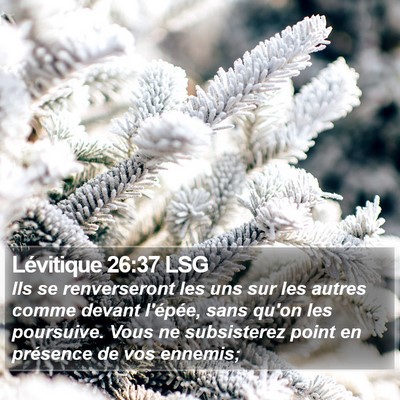 Lévitique 26:37 LSG Bible Verse Image