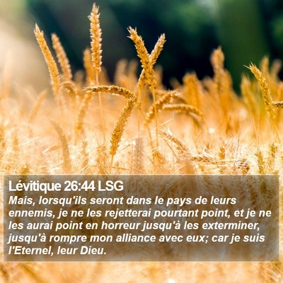Lévitique 26:44 LSG Bible Verse Image