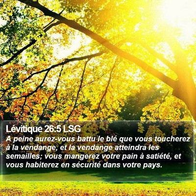Lévitique 26:5 LSG Bible Verse Image