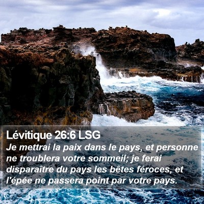 Lévitique 26:6 LSG Bible Verse Image