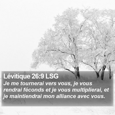 Lévitique 26:9 LSG Bible Verse Image
