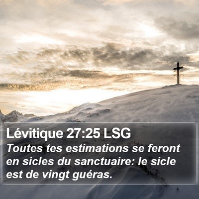 Lévitique 27:25 LSG Bible Verse Image