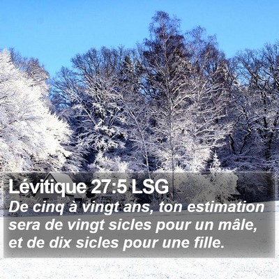 Lévitique 27:5 LSG Bible Verse Image