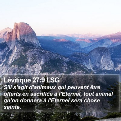 Lévitique 27:9 LSG Bible Verse Image