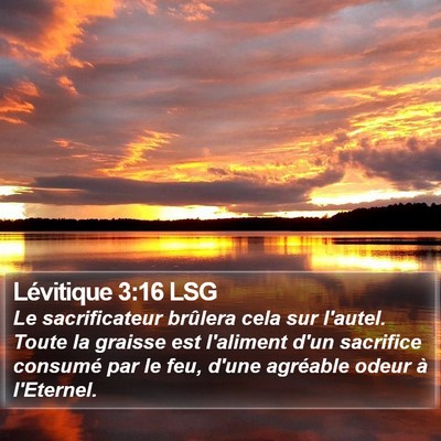 Lévitique 3:16 LSG Bible Verse Image