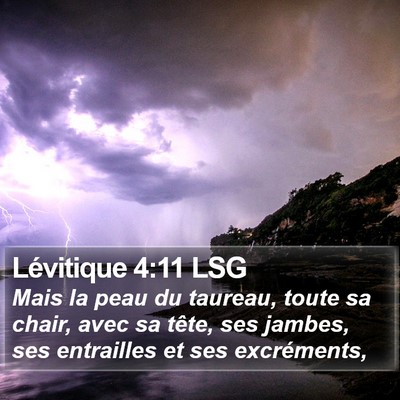 Lévitique 4:11 LSG Bible Verse Image