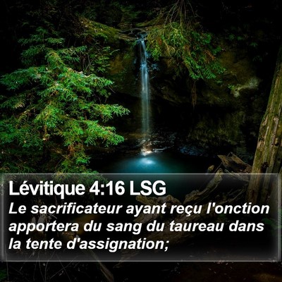 Lévitique 4:16 LSG Bible Verse Image