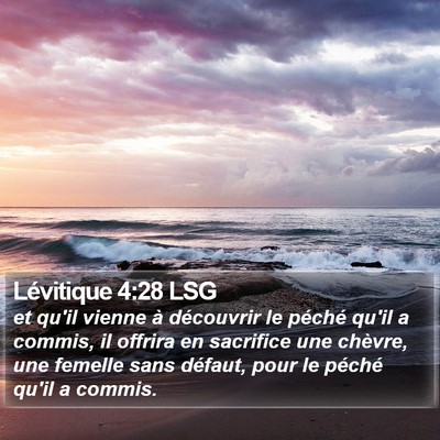 Lévitique 4:28 LSG Bible Verse Image