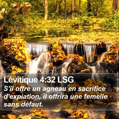 Lévitique 4:32 LSG Bible Verse Image