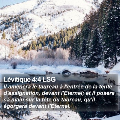 Lévitique 4:4 LSG Bible Verse Image