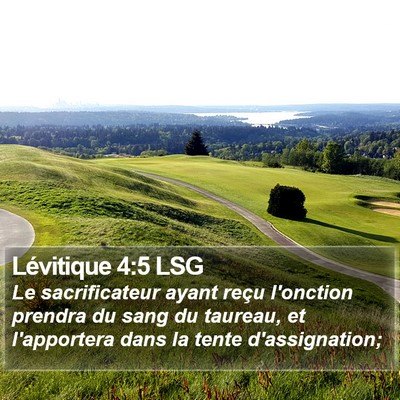 Lévitique 4:5 LSG Bible Verse Image