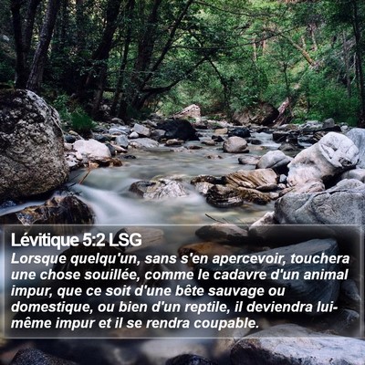 Lévitique 5:2 LSG Bible Verse Image