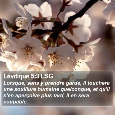 Lévitique 5:3 LSG Bible Verse Image