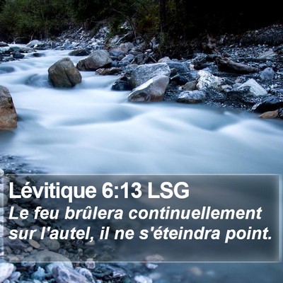 Lévitique 6:13 LSG Bible Verse Image