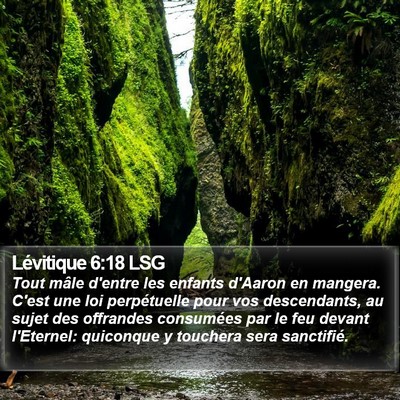 Lévitique 6:18 LSG Bible Verse Image