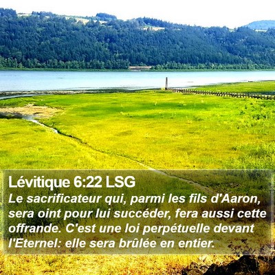 Lévitique 6:22 LSG Bible Verse Image