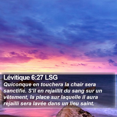 Lévitique 6:27 LSG Bible Verse Image